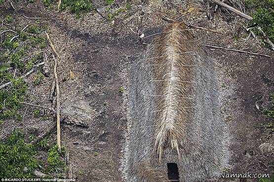 کشف قبیله آدمخوار در جنگل های آمازون + تصاویر