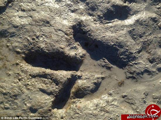 کشف ردپای دایناسور گوشتخوار 130 میلیون ساله