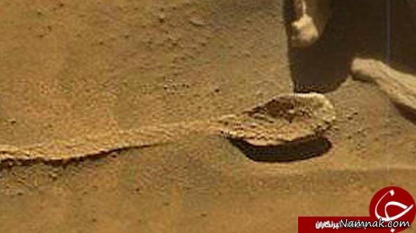 پیدا شدن قاشق بزرگ در مریخ! + عکس