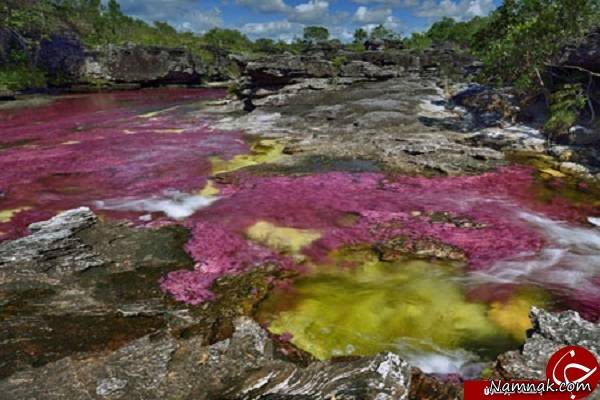 رودخانه پنج رنگ جهان در کلمبیا + تصاویر