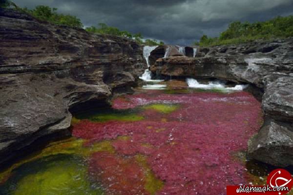 رودخانه پنج رنگ جهان در کلمبیا + تصاویر