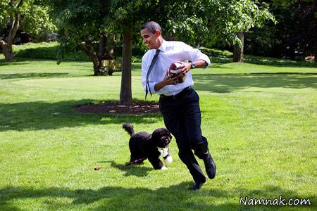 سگ های خانگی اوباما رئیس جمهور آمریکا + تصاویر