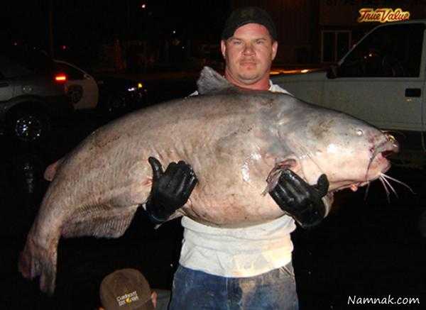 ماهیگیران رکورددار صید بزرگترین ماهی ها در دنیا + تصاویر