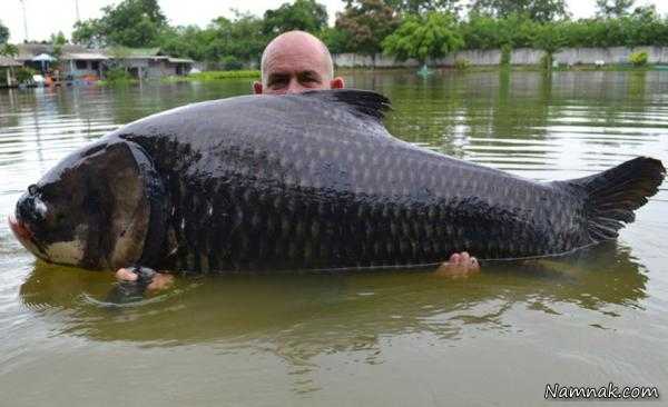 ماهیگیران رکورددار صید بزرگترین ماهی ها در دنیا + تصاویر
