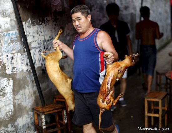 توقف جشنواره سگ خوری در چین با 11 میلیون امضاء + تصاویر