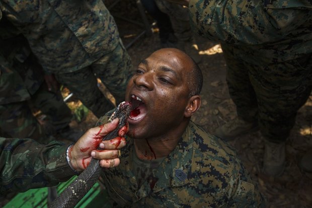 سخت ترین تمرینات نظامی در جهان + تصاویر
