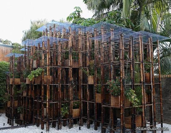 باغ زیبا با چوب های بامبو در استرالیا + تصاویر