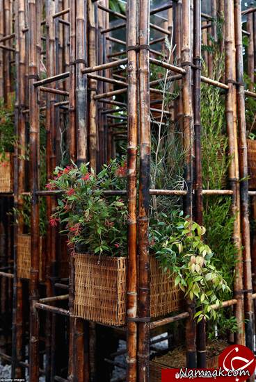 باغ زیبا با چوب های بامبو در استرالیا + تصاویر