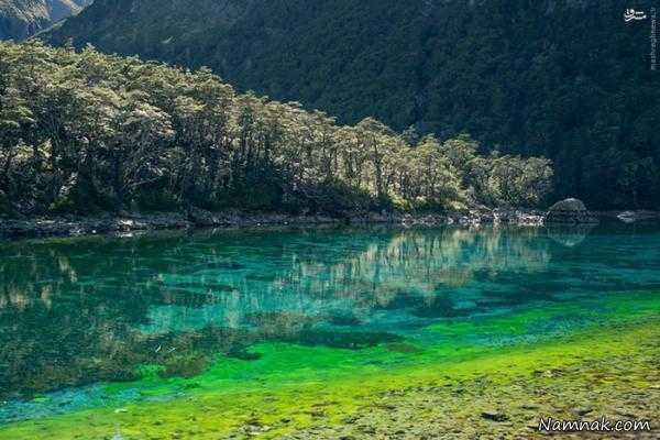 شفاف ترین دریاچه جهان در نیوزیلند + تصاویر