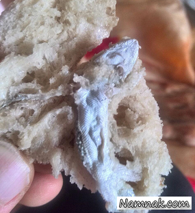 مارمولک پخته داخل نان در میاندورود! + عکس