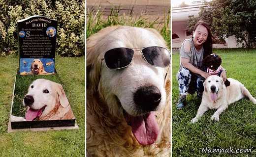 مراسم جنجالی خاکسپاری برای یک سگ! + تصاویر
