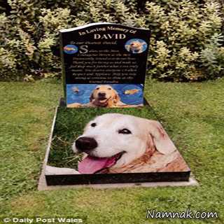 مراسم جنجالی خاکسپاری برای یک سگ! + تصاویر