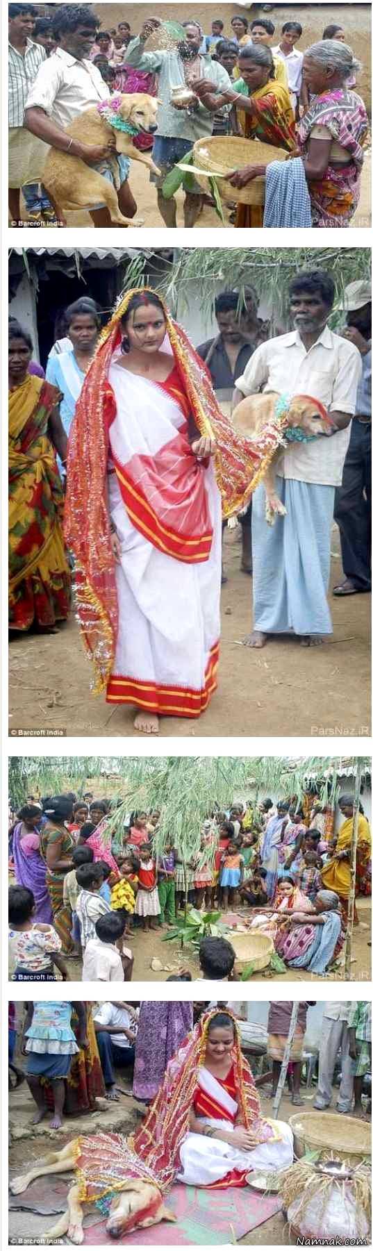 جنجال ازدواج دختر 18 ساله با سگ ولگرد! + تصاویر
