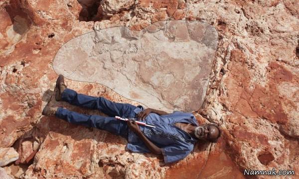 کشف جای پای دایناسور به اندازه قد یک انسان + عکس