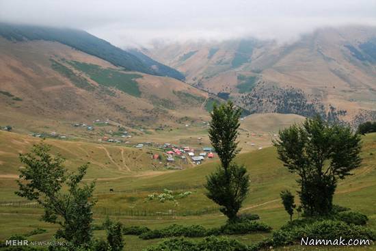 جنگل زیبای جاده خلخال به اسالم + تصاویر