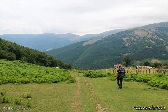 جنگل زیبای جاده خلخال به اسالم + تصاویر