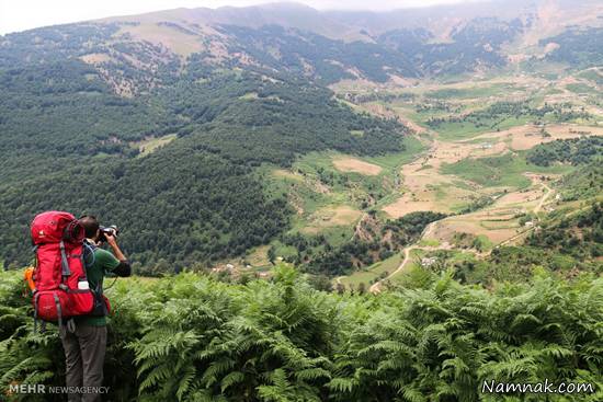 جنگل زیبای جاده خلخال به اسالم + تصاویر