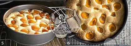 کیک میوه - طرز تهیه کیک زردآلوی خوشمزه | ایران کوک
