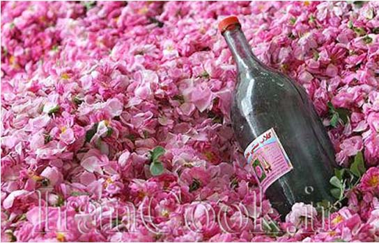 گلاب - خواص درمانی گلاب | ایران کوک