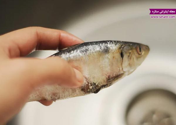 	چگونه یک ماهی تازه و سالم انتخاب کنیم؟ | وب 