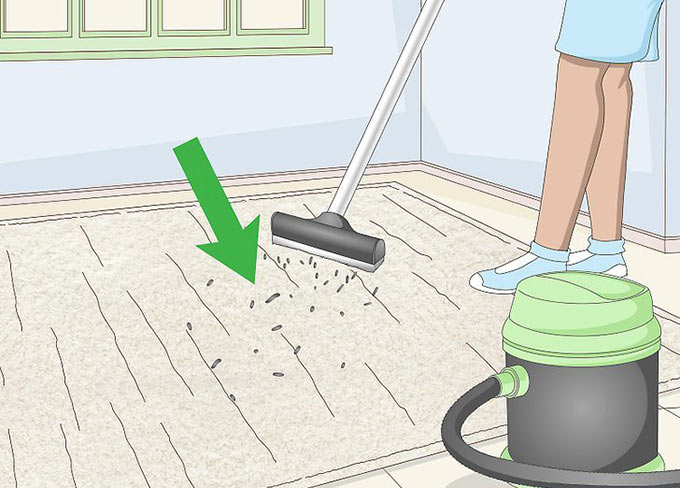 روش صحیح تمیز کردن فرش پشمی و فرش پرزدار
