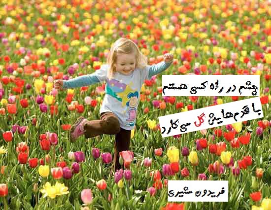 	زیباترین اشعار درباره قدم زدن | وب 