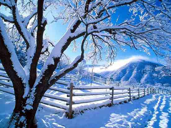 انشا در مورد زمستان به سبک‌های گوناگون | وب 