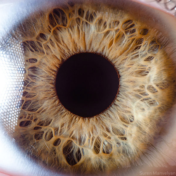 	عکاسی ماکرو از عنبیه چشم انسان توسط سورن مانولیان