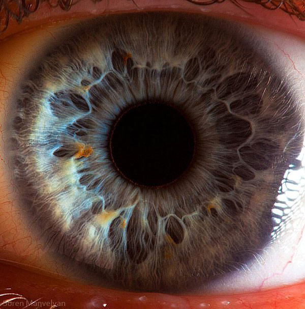 	عکاسی ماکرو از عنبیه چشم انسان توسط سورن مانولیان | وب 