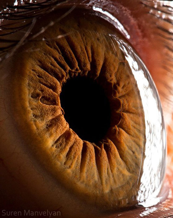 	عکاسی ماکرو از عنبیه چشم انسان توسط سورن مانولیان | وب 