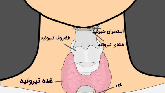 تفسیر آزمایش تیروئید؛ تیروئیدم کم کار است پا پرکار؟