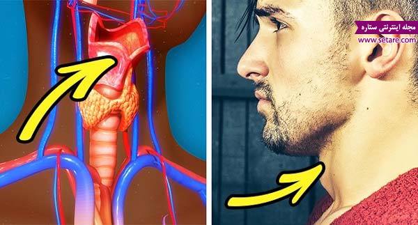 	8  حقیقت باورنکردنی در بدن مردان | وب 
