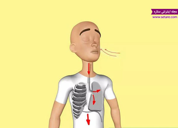 	راه‌های افزایش ظرفیت ریه برای تنفس بهتر (مناسب برای سیگاری‌ها) | وب 