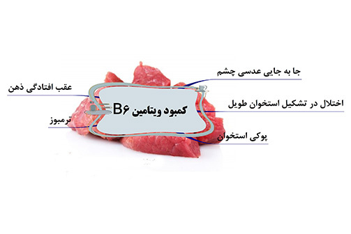 خواص ویتامین ب۶ (Vitamin B6) و منابع تامین کننده آن | وب 