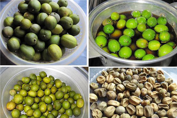 خواص لیمو عمانی چیست + طرز تهیه لیمو عمانی خانگی | وب 