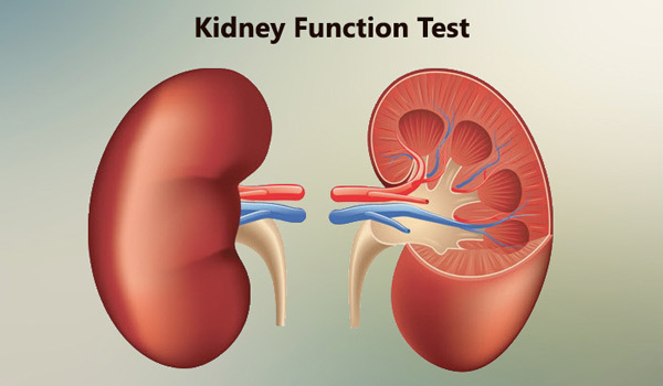 دلایل مشاهده خون در ادرار چیست؟ | وب 