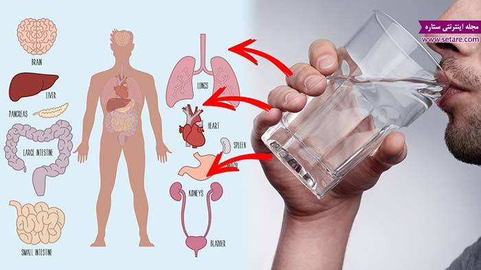 	آب گرم یا آب سرد: کدام یک دشمن سلامتی شماست؟ | وب 