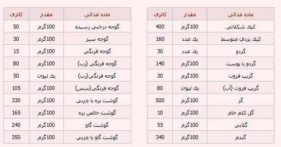 	کاهش وزن اصولی و صحیح با رژیم کالری شماری | وب 