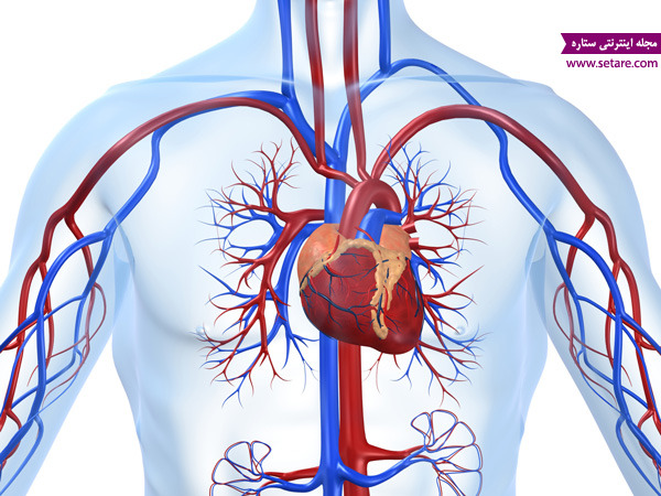 	آشنایی با انواع بیماری‌ های قلبی و عروقی و درمان آن