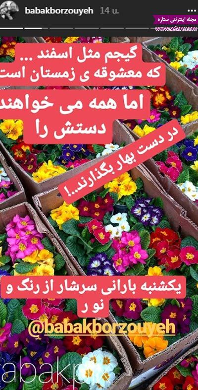 ستارگان مجازی (یکشنبه ۶ اسفند ۹۶) | وب 