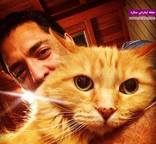 	عکس سلفی جالب بهرام رادان با گربه‌اش | وب 
