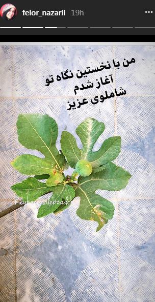 هر روز با ستارگان مجازی (۲) | وب 