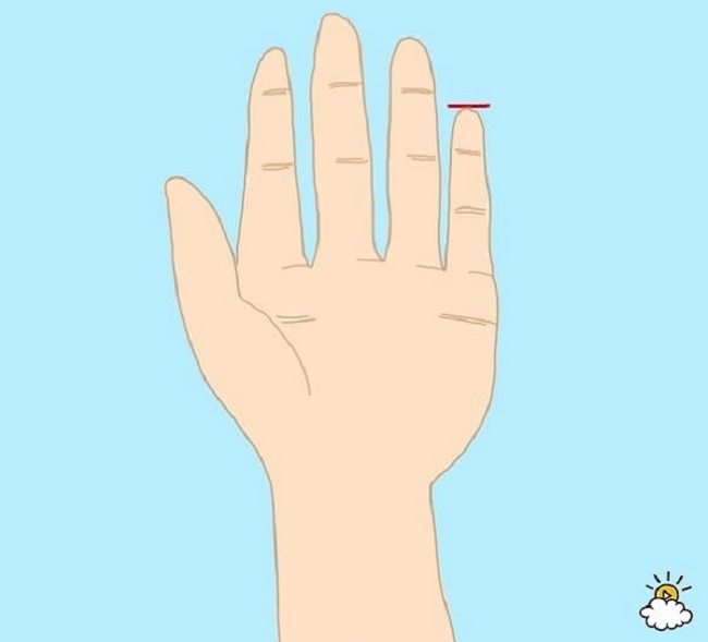 شخصیت شناسی از روی انگشتان دست