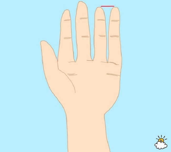 شخصیت شناسی از روی انگشتان دست | وب 