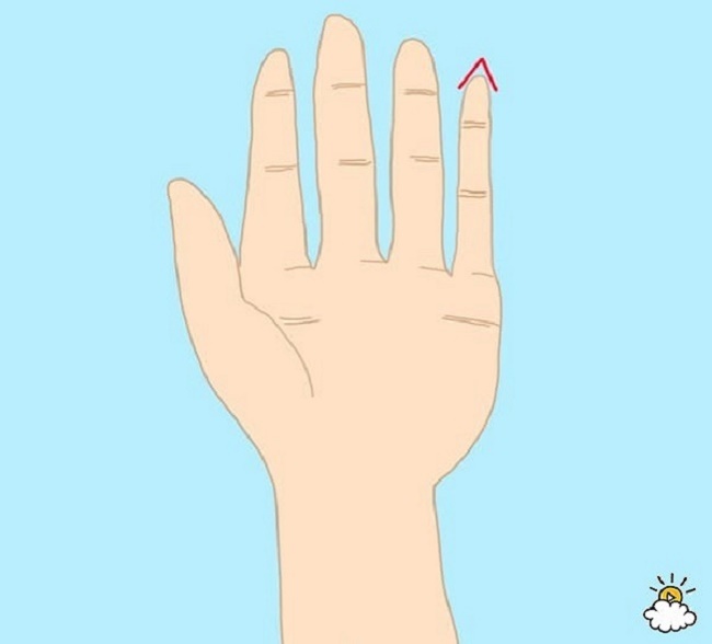 شخصیت شناسی از روی انگشتان دست | وب 
