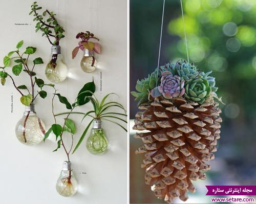	ساخت گلدان‌های کوچک زیبا برای تزئیین خانه | وب 