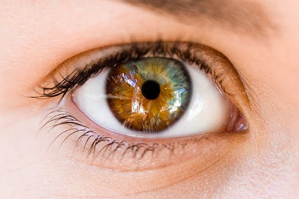 	چه عواملی رنگ چشم نوزاد شما را تعیین می کند؟ | وب 