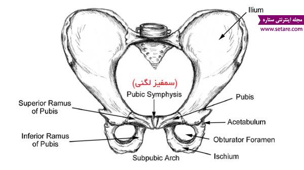 	علت درد لگن در بارداری چیست و چگونه درمان می‌شود؟