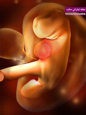 	هفته پنجم بارداری - نوسانات خلقی زنان در هفته پنجم باردرای | وب 