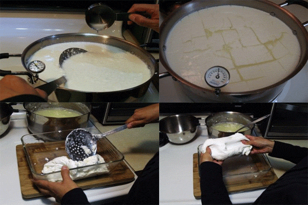 طرز تهیه پنیر موزارلا خانگی به همراه ذکر نکات مهم و اصولی | وب 